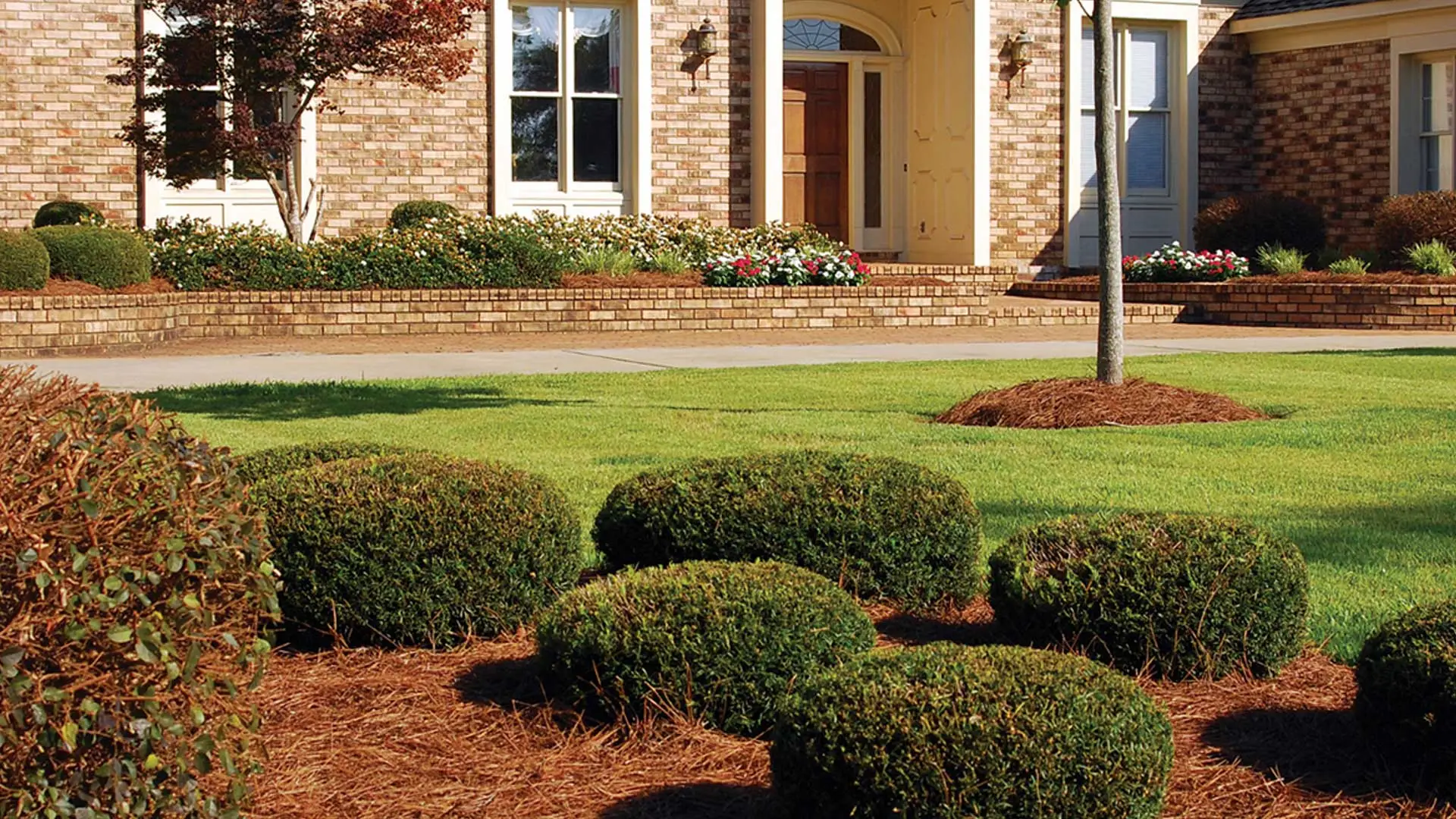 Landscape maintenance, landscape trimming, and annuals in front of a home in Wrens.