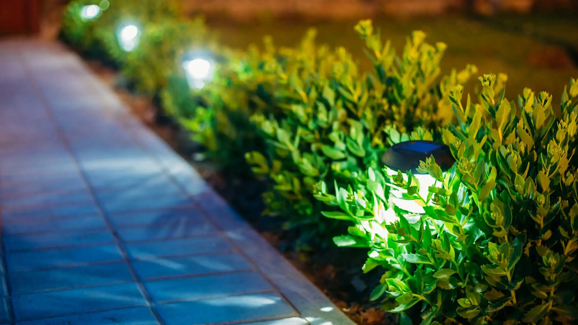 Landscape lighting along a pathway at a property in Waynesboro, GA.