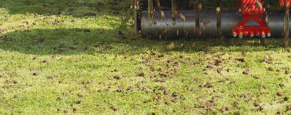 Louisville, GA lawn aeration to improve the health and growth of the lawn.