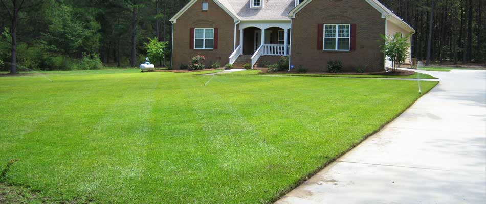 Lush lawn after the installation of an irrigation system in Waynesboro, GA.