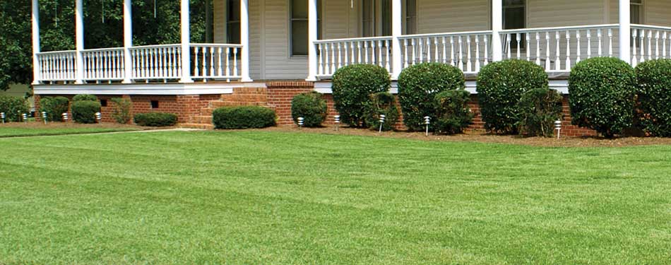 A green, healthy, lush lawn that is serviced by Nichols Lawn Care in Louisville, GA.