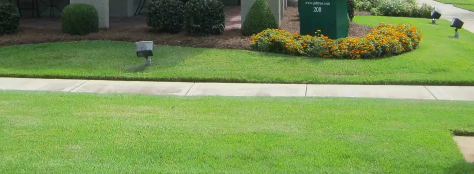 Homeowner in Waynesboro, GA with lawn service by Nichols Lawn Care.