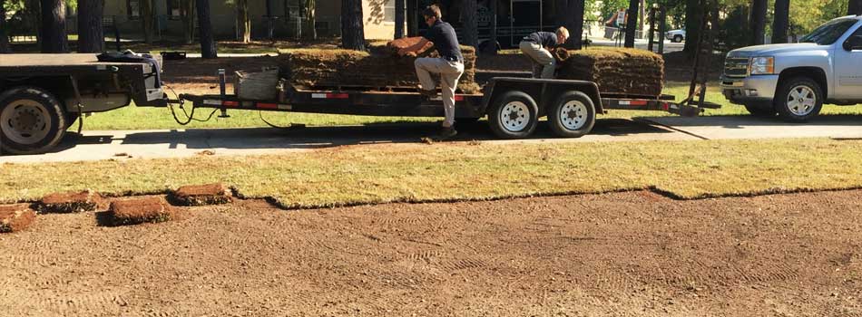 New sod installation by Nichols Lawn Care at a home in Wrens, GA.