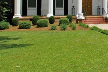 Front lawn in Wrens, GA mowed by Nichols Lawn Care.